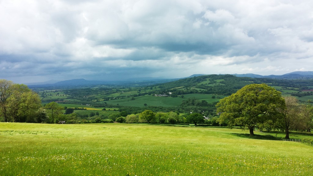 England| knittedbliss.com