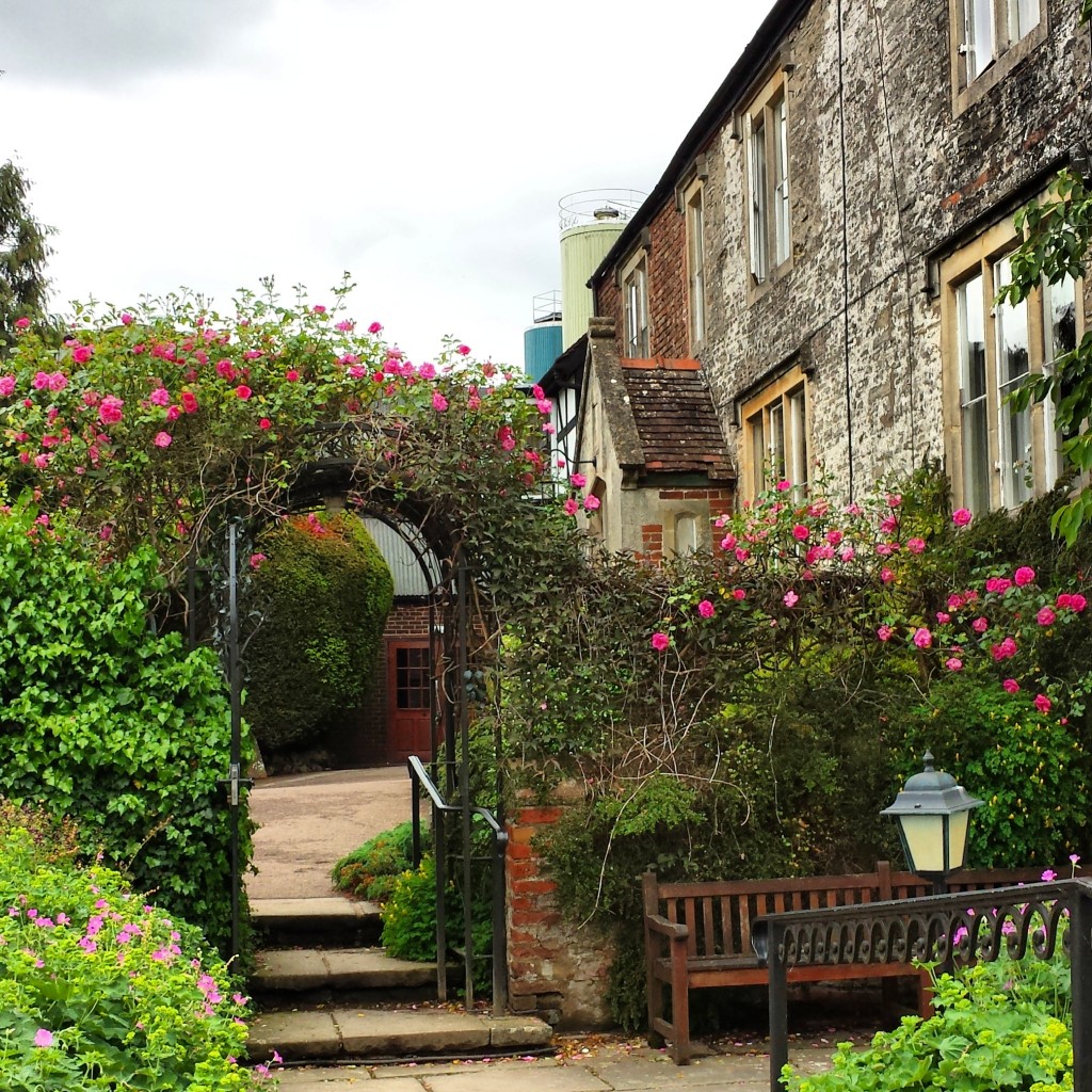 English Roses| knittedbliss.com