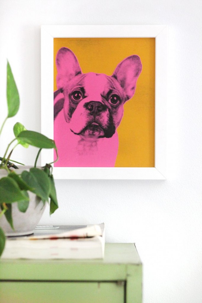 Pin Ups: DIY pet portraits| knittedbliss.com