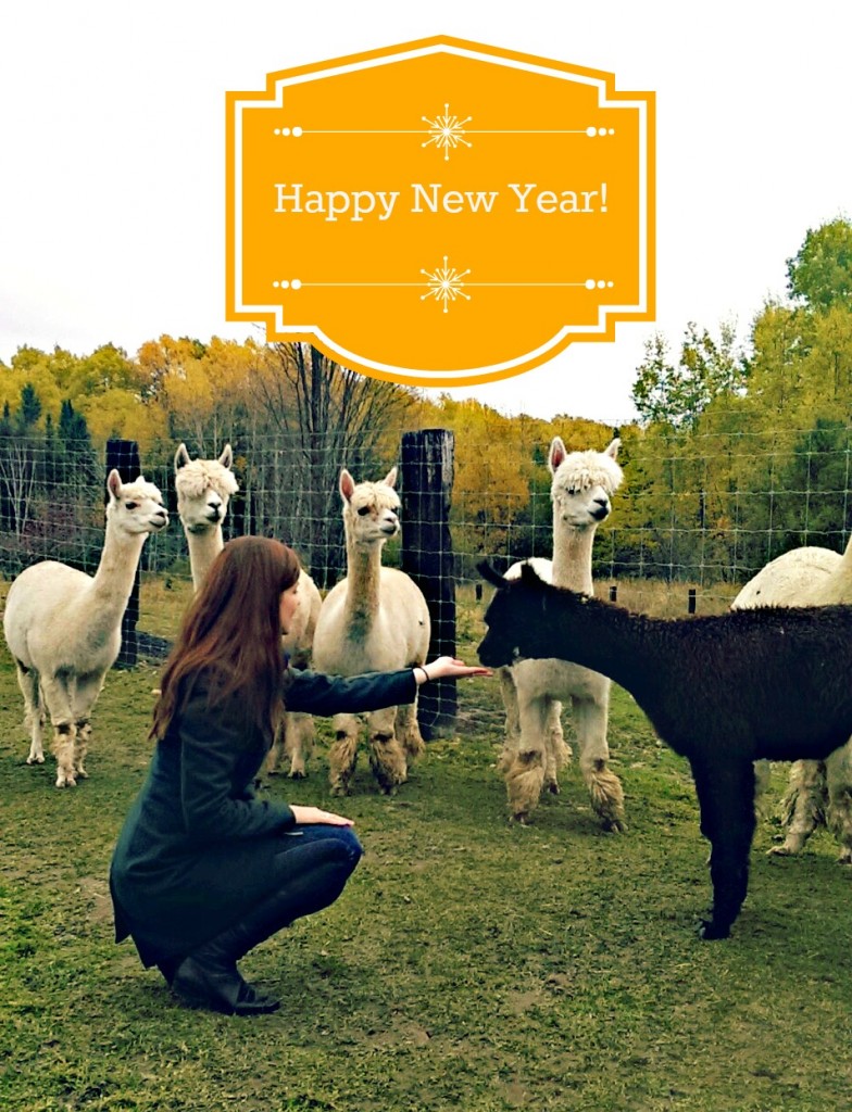 Happy New Year| knittedbliss.com