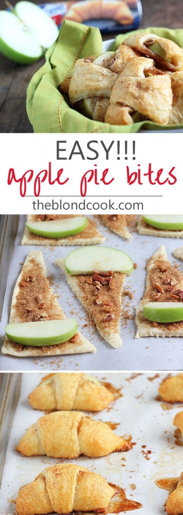 Pin Ups: Apple Pie Bites | knittedbliss.com