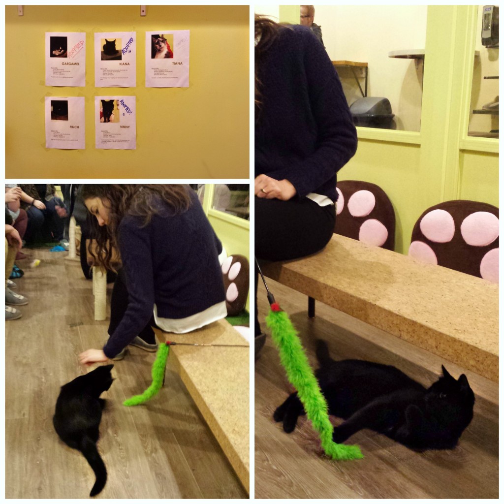 Cat Cafe| knittedbliss.com