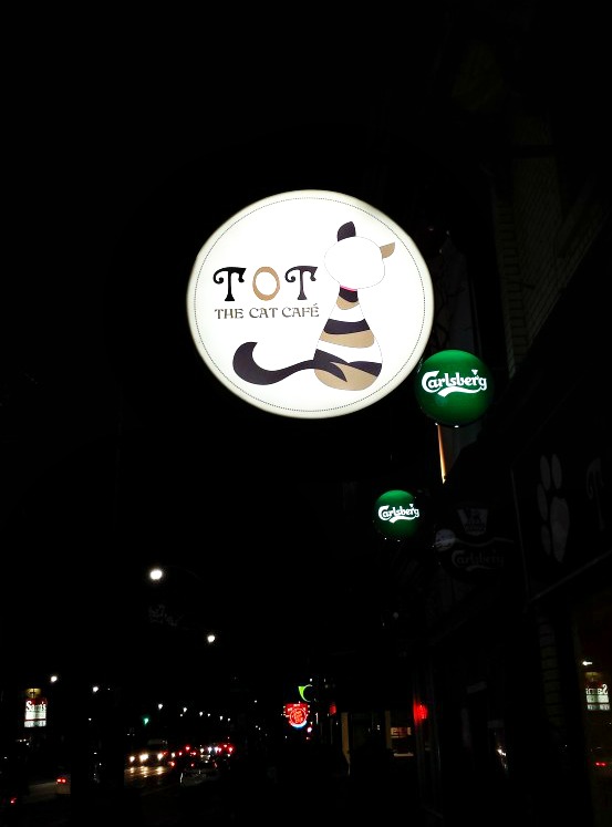 Cat Cafe| knittedbliss.com