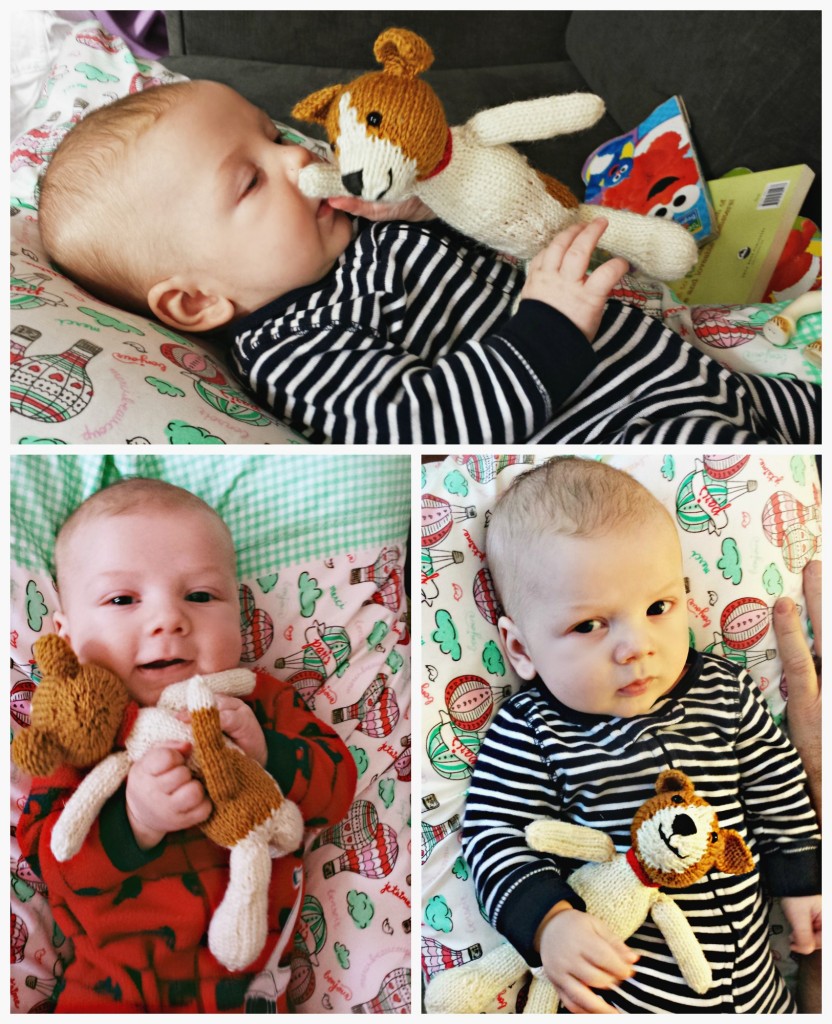 Fudge the Puppy | knittedbliss.com