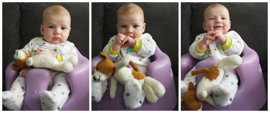 Fudge the Puppy | knittedbliss.com