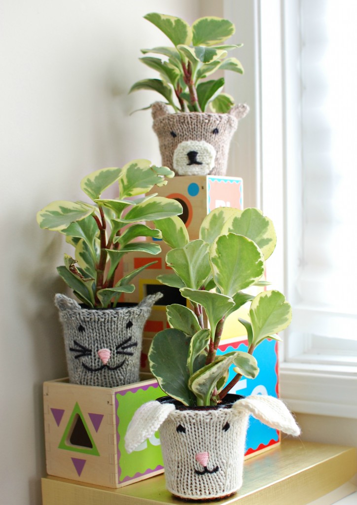 Animal Plant Cozies | knittedbliss.com