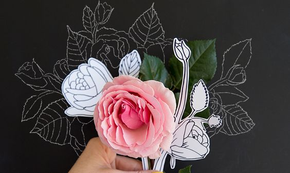 Pin Ups and Link Love: How to Draw a Rose | knittedbliss.com