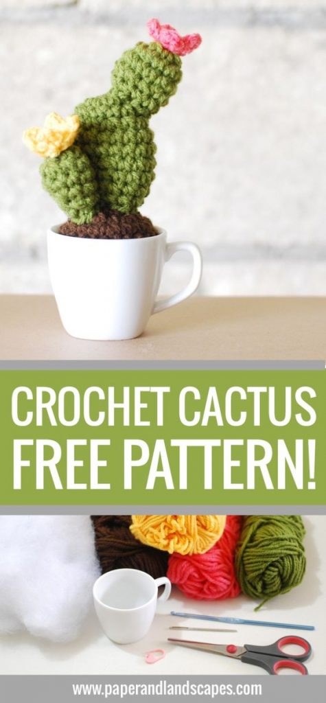 Pin Ups and Link Love: Crochet Cactus | knittedbliss.com