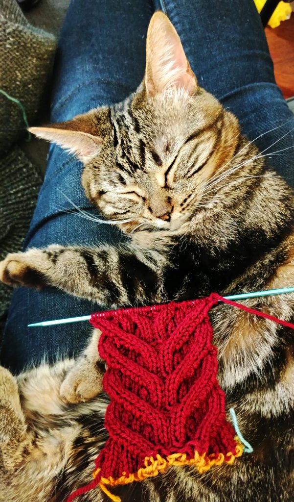 Arbor Collection Review | knittedbliss.com